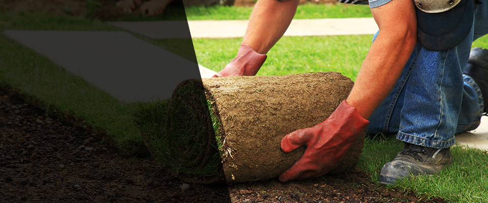 Shickshinny Landscapers